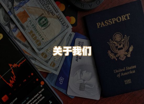 关于至岚排版网